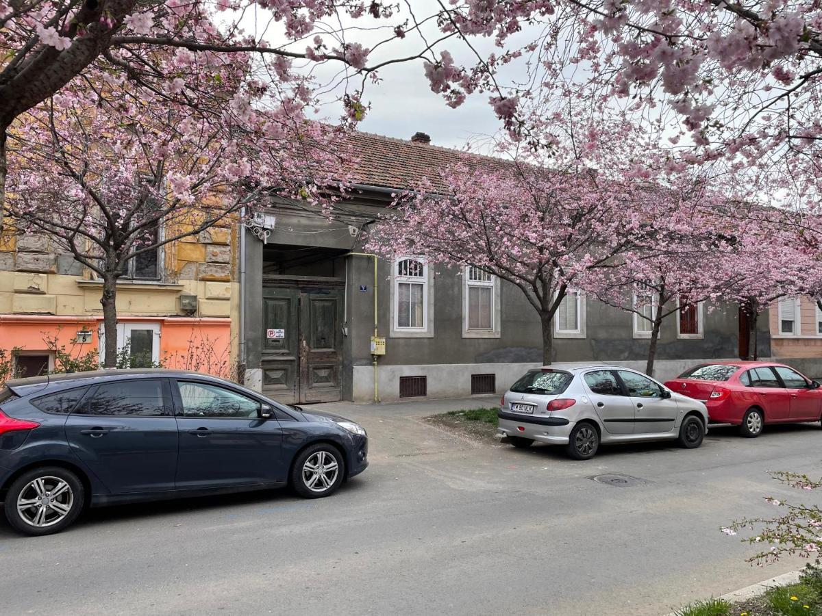 Dulcineea Downtown Garden Studio Тімішоара Екстер'єр фото