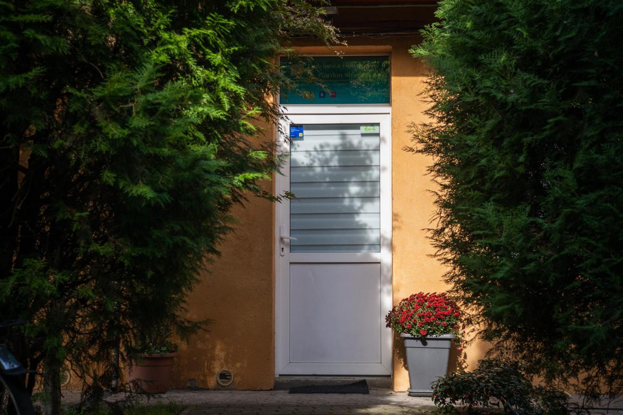 Dulcineea Downtown Garden Studio Тімішоара Екстер'єр фото